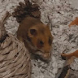 Meet your Posher, Kendra